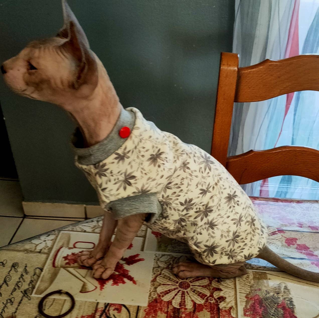 Pull Polaire Beige Chat Sphynx Taille 1 à 10