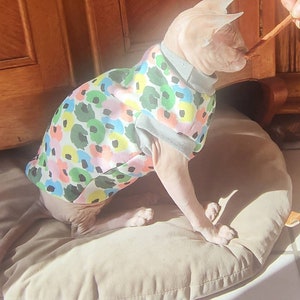 Pullover, mehrfarbiger Mantel, floraler Katzensphynx, Größe 1 bis 10