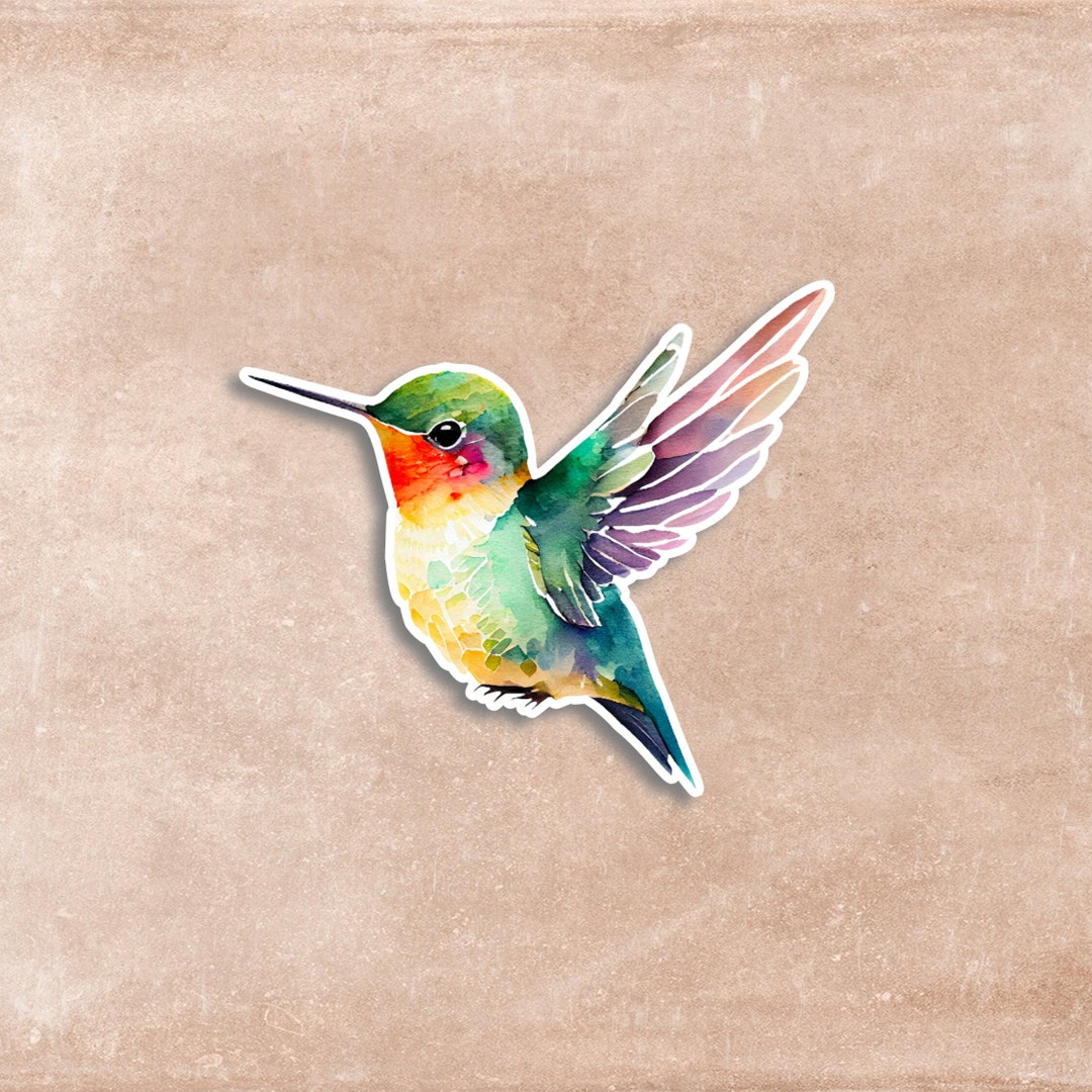 3 Hummingbird Sticker, Hummingbird Decal - Etsy