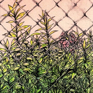 Lost in the Weeds | Risograph Print
