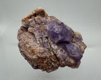 Puede incluir: Un grupo de cristales de fluorita púrpura incrustados en una matriz rocosa marrón y rugosa. Los cristales son afilados y bien definidos, con un brillo vítreo.