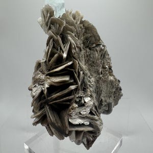 May include: A cluster of gray and silver mica crystals with a light blue aquamarine crystal on top. The crystals are arranged in a natural, organic pattern.