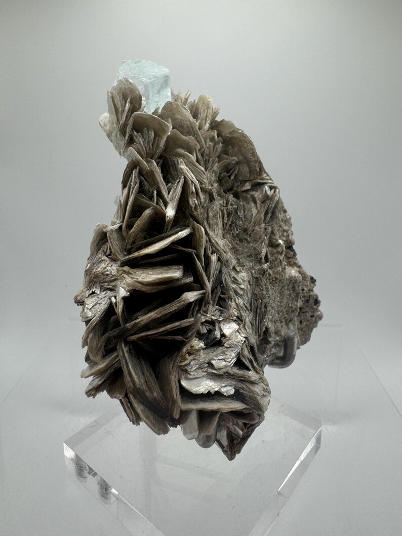 May include: A cluster of gray and silver mica crystals with a light blue aquamarine crystal on top. The crystals are arranged in a natural, organic pattern.