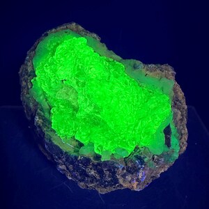 May include: A fluorescent green mineral specimen with a textured, crystalline surface. The bright green contrasts with the dark, rough matrix. The mineral is displayed against a dark blue background.