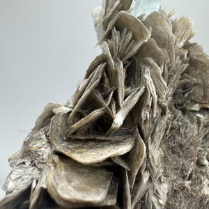 May include: A cluster of light blue aquamarine crystals atop a bed of gray mica crystals. The aquamarine crystals are translucent and have a glassy luster. The mica crystals are opaque and have a pearly luster.