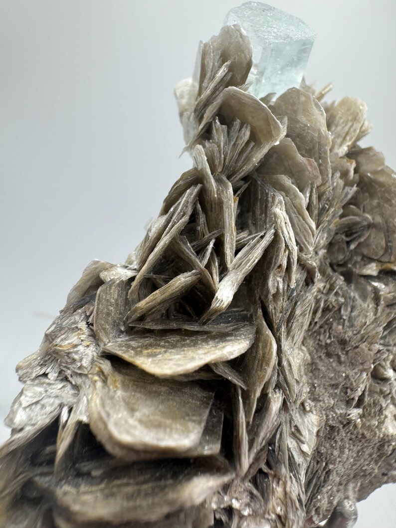 May include: A cluster of light blue aquamarine crystals atop a bed of gray mica crystals. The aquamarine crystals are translucent and have a glassy luster. The mica crystals are opaque and have a pearly luster.