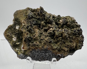 希少なモトラマイト標本：2011年メキシコ発見、オフエラ鉱山 - Etsy 日本