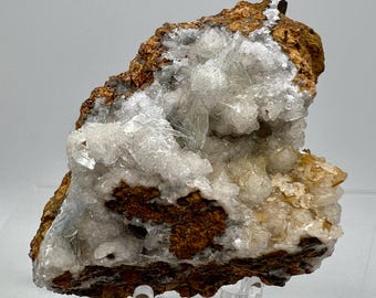 May include: A cluster of white and light blue crystals embedded in a brown rock. The crystals are arranged in a random pattern and have a shiny, translucent appearance. The rock is rough and textured.