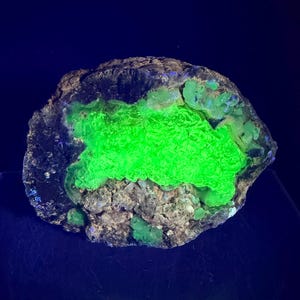 May include: A rough, dark-coloured mineral specimen featuring a central cavity filled with vibrant, neon green fluorescent crystals. The outer edges of the rock are textured and brownish-black, contrasting with the bright, glowing green interior.