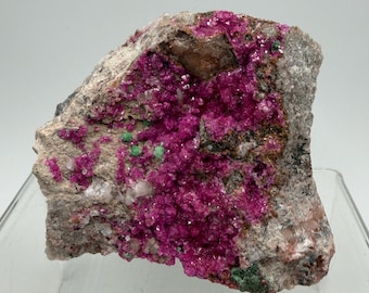 Pink Salrose And Malachite Specimen Crystalized With Stunning Colors Cobaltion Dolomite Specimen From Congo
