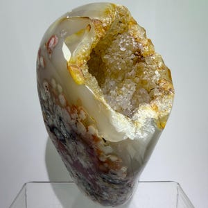 Druzy Flower Agate Freeform: Amazing Large Botryoidal Druzy. One Of A Kind Display Crystal
