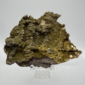 May include: A natural mineral specimen with a textured, bubbly surface. The rock formation features shades of olive green and brown, with small white crystalline formations. The specimen is displayed on a clear acrylic stand.