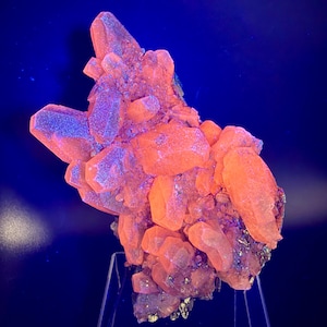 May include: A cluster of crystalline mineral formations glowing with a vibrant neon orange fluorescence against a dark background. The specimen features multiple angular, faceted points and smaller granular textures, supported by a clear acrylic stand.