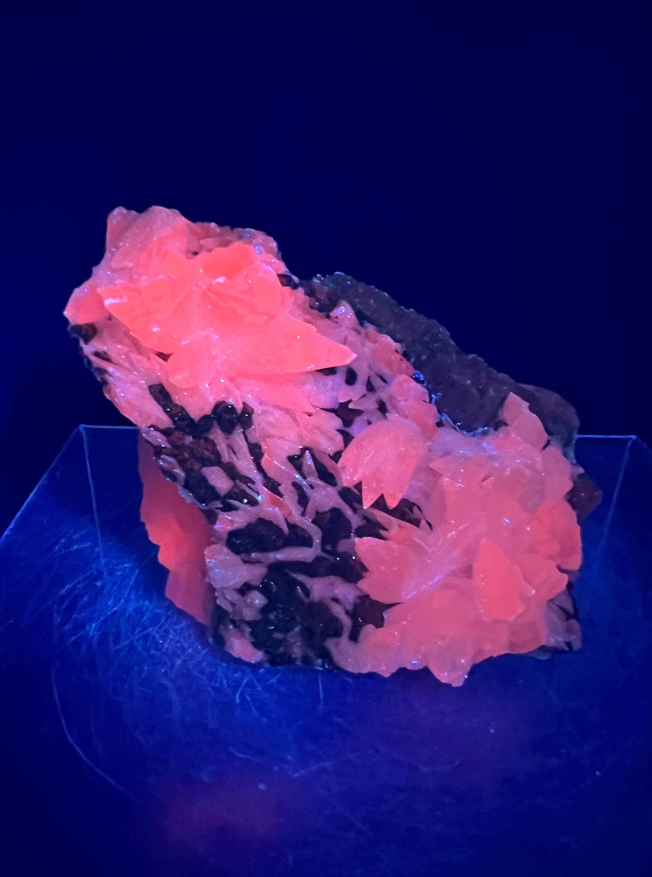 Kidz Ocks Mangano Calcite 1 3/4" Aw Ock Mineal Specimen