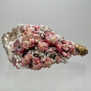 May include: A natural mineral specimen with a cluster of vibrant, deep pink rhodochrosite crystals. The crystals are clustered on a matrix of grey and tan rock, creating a striking contrast. The overall shape is irregular, showcasing the raw beauty of the stone.