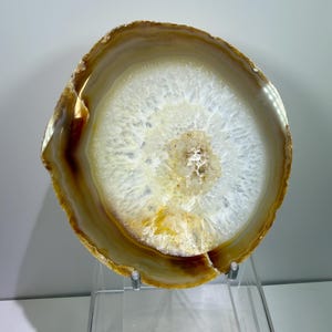 May include: A circular agate slice featuring a translucent white crystalline center surrounded by concentric bands of amber, gold, and brown. The stone is displayed upright on a clear acrylic stand, showcasing its natural mineral layers and edges.