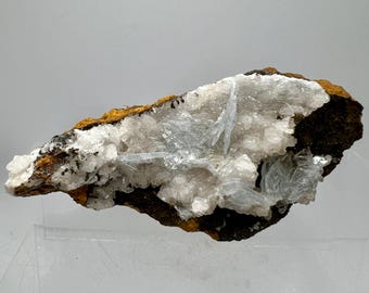 May include: A cluster of white and light blue crystals on a brown rock. The crystals are arranged in a fan-like pattern.