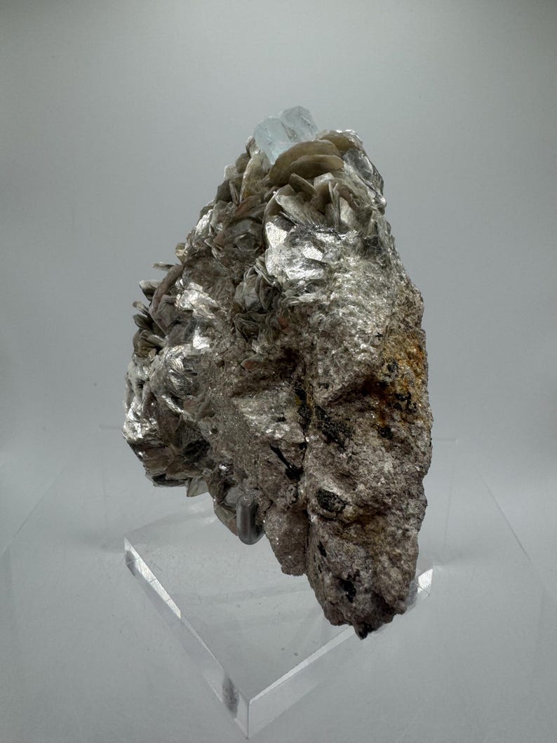 May include: A cluster of light blue aquamarine crystals embedded in a matrix of gray and brown rock. The rock is on a clear acrylic display stand.