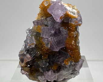 Gorgeous Purple Fluorite With Rare Yellow Quartz Druzy. High Quality Mexican Fluorite. Beautiful Rare Colors On This Display Crystal