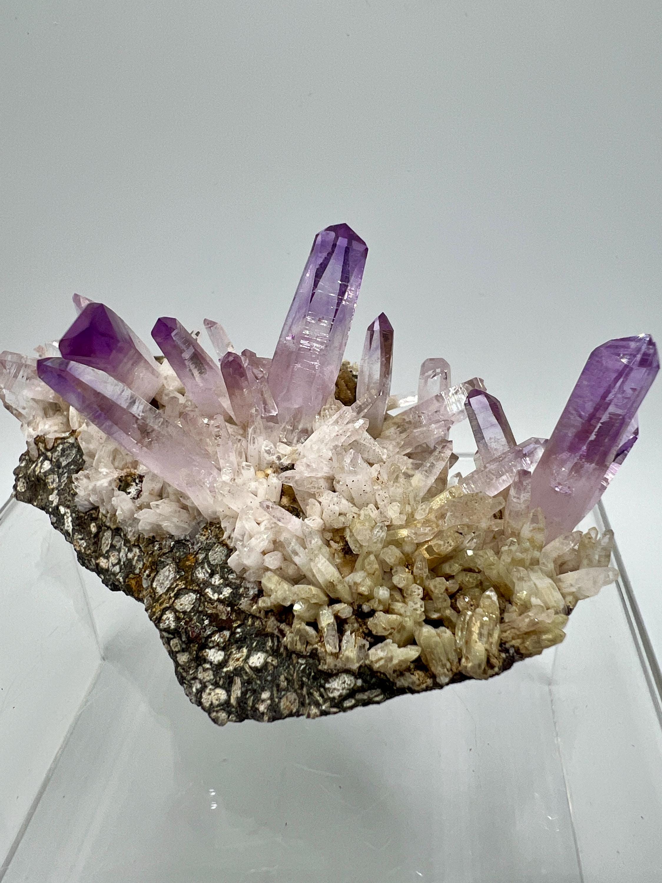 ❤️超レア　綺麗　ベラクルスアメジスト　 花　クラスター　紫水晶　原石　標本 ベラクルス産アメジストクラスター 高品質 濃い紫色 優れたポイント