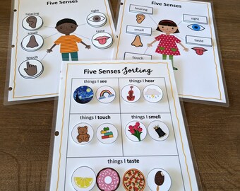 Five Senses Toddler Busy Book: Learning Activity Worksheets (Instant Download)