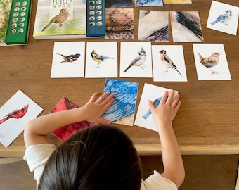 Winter Birds Montessori Cards: Nature Study Printable (PDF)