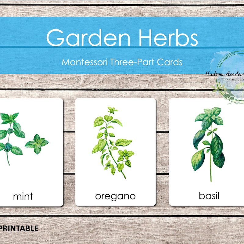 Herb Garden - Etsy
