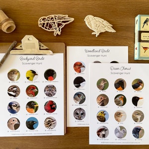 Birds Scavenger Hunt, Backyard Birds, Woodland Birds, Dawn Chorus Birds, Montessori Materials Printable, Homeschool Nature Study Printable
