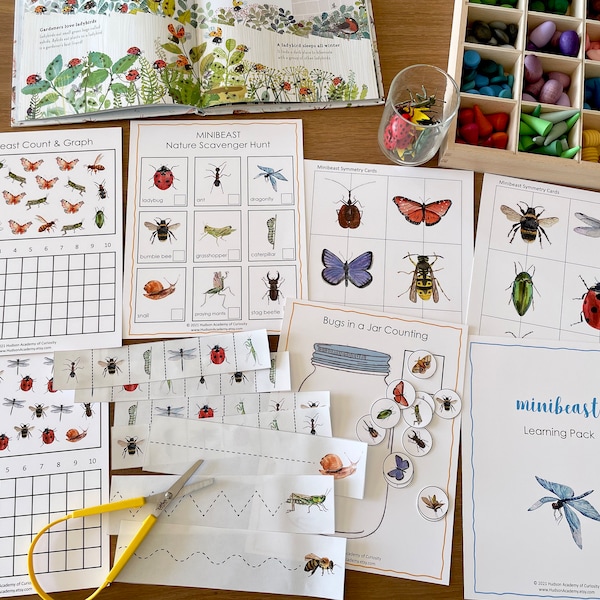 Minibeasts Learning Pack, Nature Study, Bugs and Insects, Activity Worksheets, Educational Game, Homeschool Learning, Instant Download