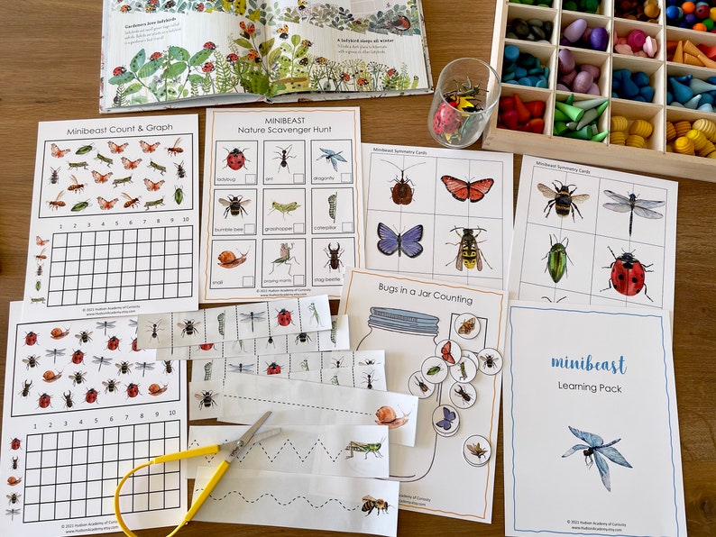 Minibeasts Learning Pack: Nature Study Activity Worksheets (instant ...