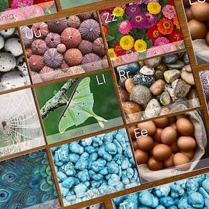 Nature A-Z Flashcards, Montessori Three-Part Cards, Nomenclature Cards, Educational Material, Nature Alphabet Flashcards, Instant Download