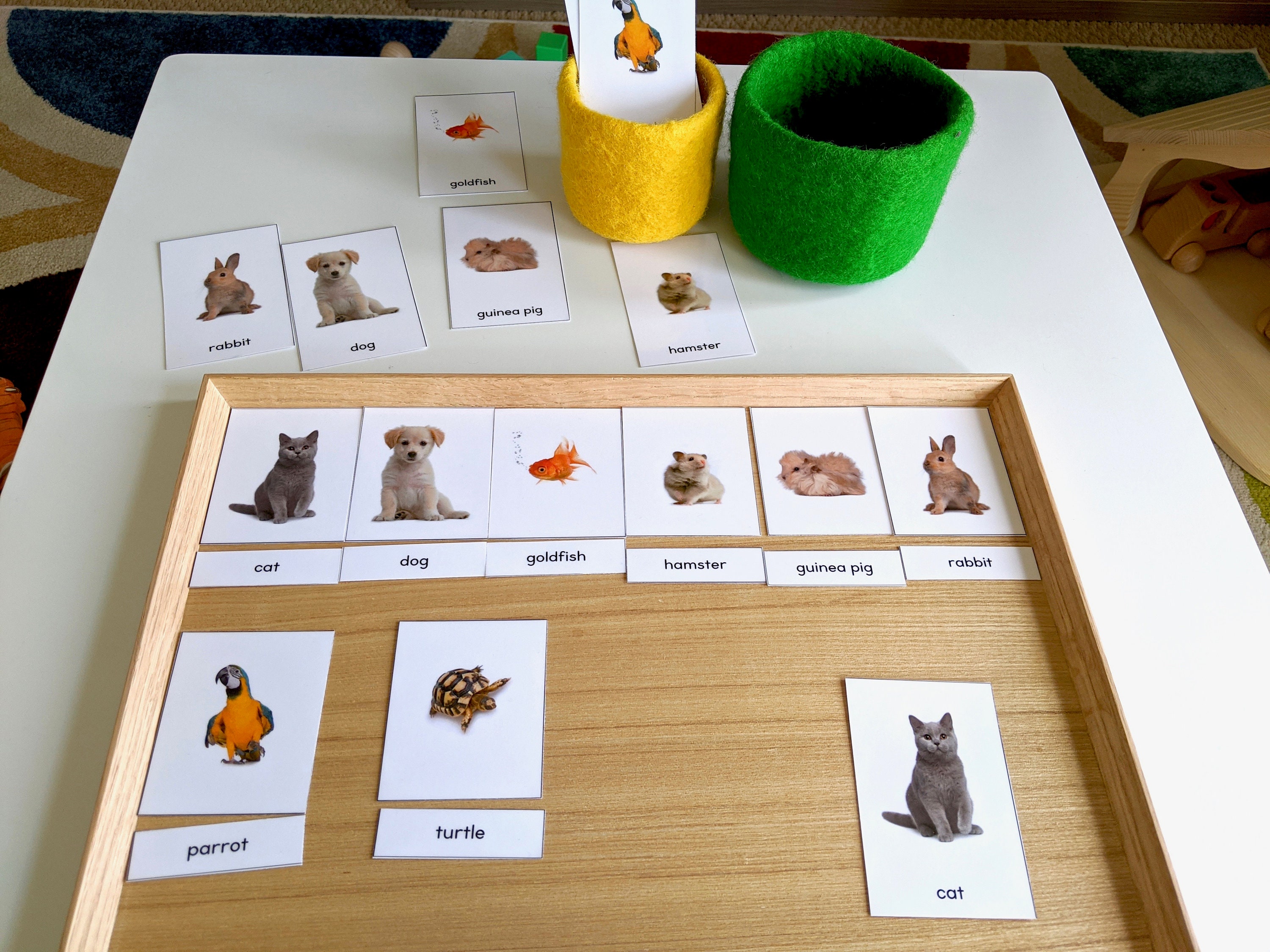 Animal Pet Cards Printable MONTESSORI MATERIALS PRINTABLE | Etsy