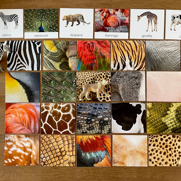 Montessori Animal and Animal Pattern Matching Printable Cards for Kids, Zoo Animals Details Matching, Educational Homeschool Material PDF