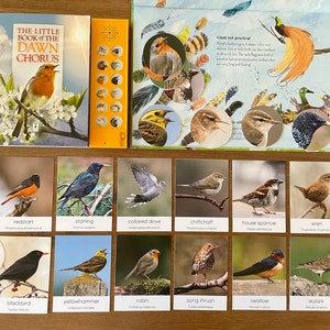 May include: A set of flashcards featuring colorful illustrations of different bird species, including a redstart, starling, collared dove, chiffchaff, house sparrow, wren, blackbird, yellowhammer, robin, song thrush, swallow, and skylark. The cards are labeled with the bird's common name and scientific name. The set also includes a book titled "The Little Book of the Dawn Chorus" and a small handheld device with buttons for each bird sound.