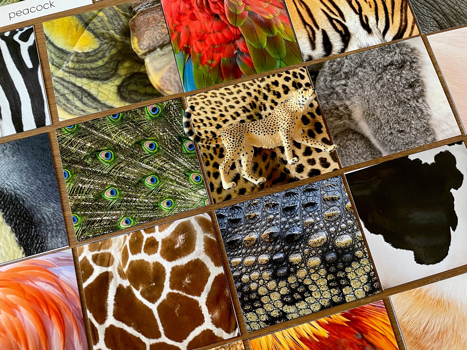 Montessori Animal Pattern Matching Cards: Educational Printable (PDF ...