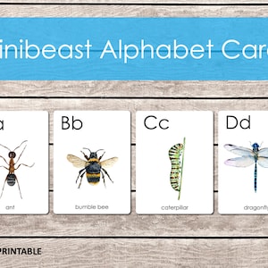 Minibeast Alphabet Flashcards, Bugs A-Z Flashcards, Educational Material, Bugs Beetles Alphabet, Insects Printable, Homeschool Printable
