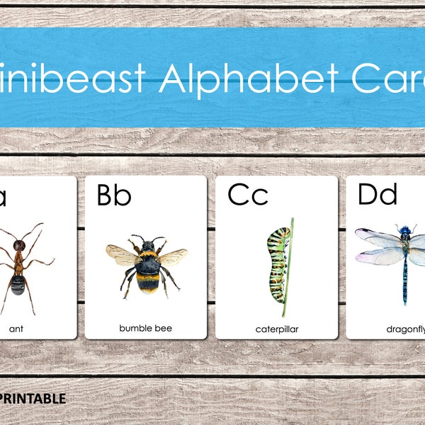 Minibeast Alphabet Flashcards, Bugs A-Z Flashcards, Educational Material, Bugs Beetles Alphabet, Insects Printable, Homeschool Printable