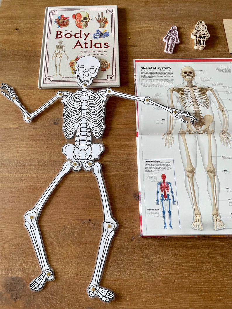 Movable Skeleton DIY Printable Halloween Skeleton Craft - Etsy