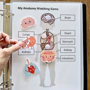 My Body Anatomy Worksheet: Pre-K Learning Printable (PDF)