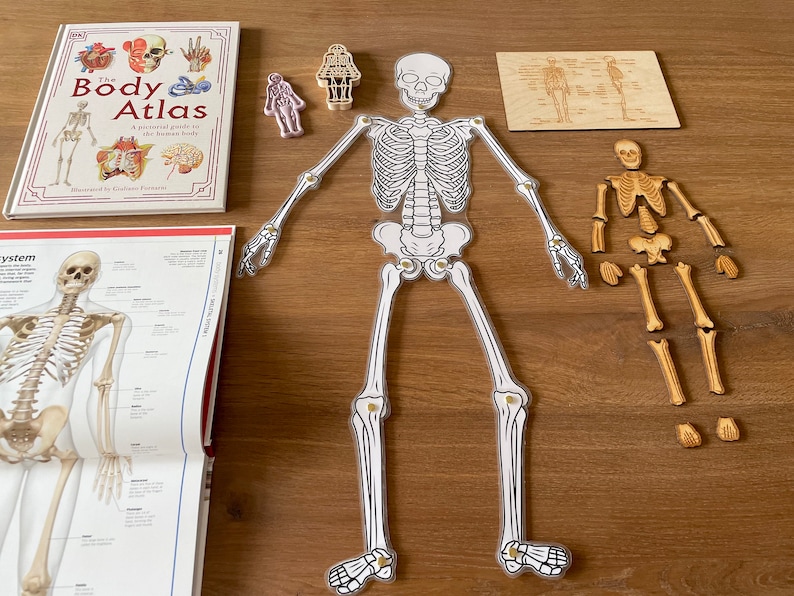 Movable Skeleton DIY Printable Halloween Skeleton Craft - Etsy