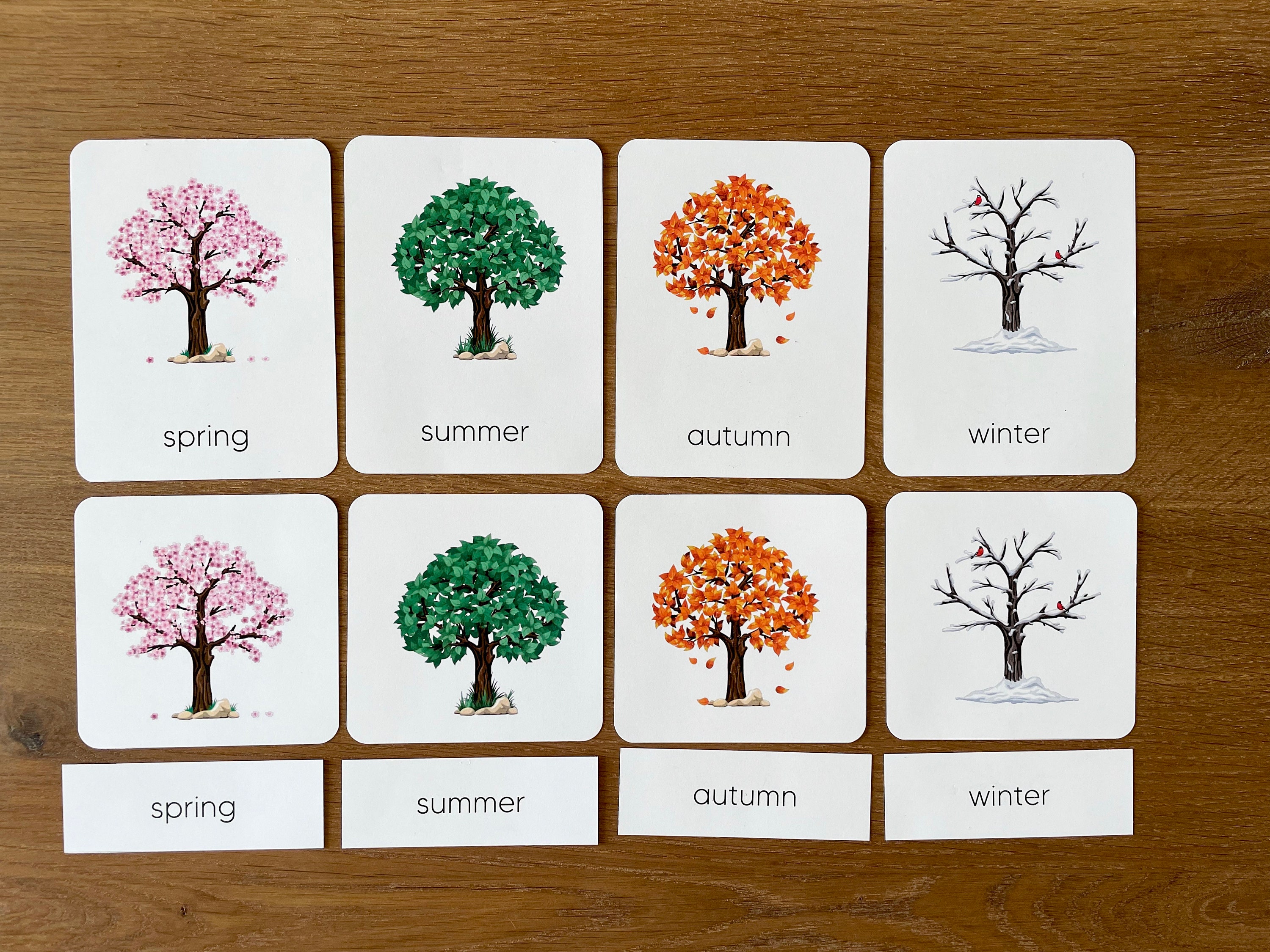 Four Seasons Printable Morning Binder Printable Worksheet - Etsy