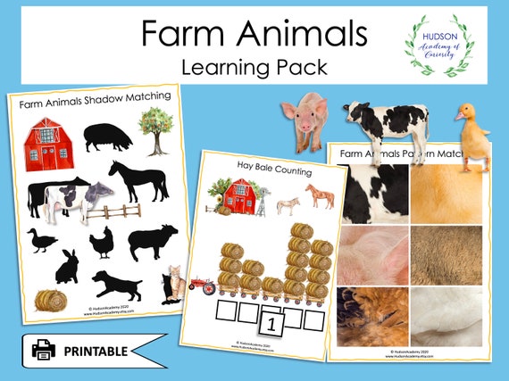 Farm Animals Busy Book Busy Binder Letter Tracing - Etsy Denmark Farm Animals Busy Book Busy Binder Letter Tracing - Etsy Denmark