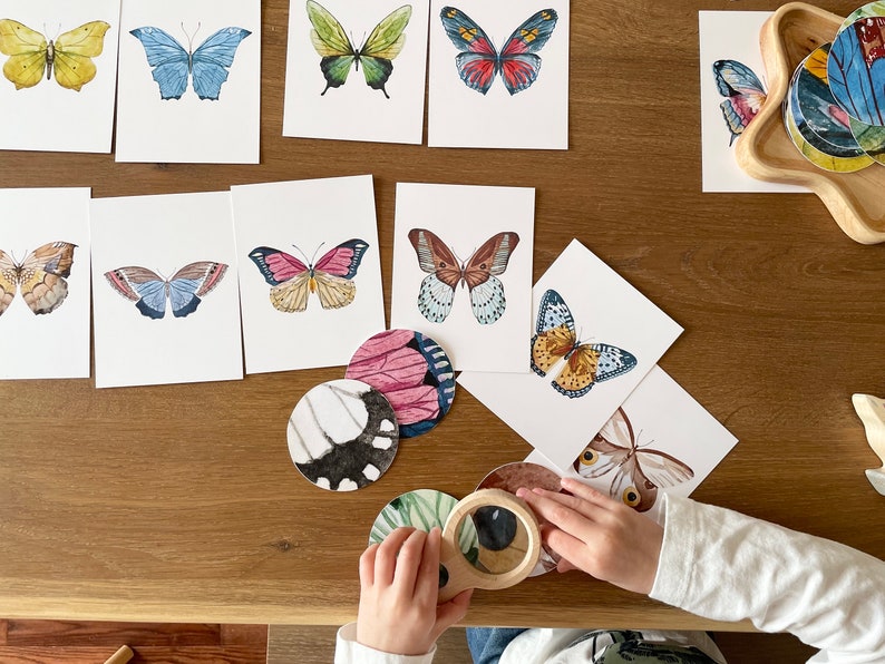 Butterfly Matching Cards, Montessori Materials Printable, Toddler Pattern Matching, Three Part Cards, Nature Study, Homeschool Learning image 1