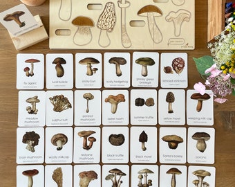 Mushroom Montessori Flashcards, Montessori Materials Printable, Forest Schooling, Three Part Cards, Nature Study, Homeschool Learning