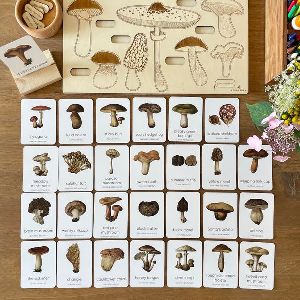 Mushroom Montessori Flashcards, Montessori Materials Printable, Forest Schooling, Three Part Cards, Nature Study, Homeschool Learning