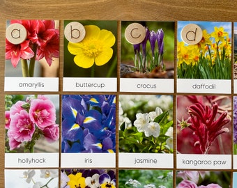 Flowers A-Z Alphabet Flashcards, Montessori Materials Printable, Spring Flowers Forest Schooling, Three Part Cards, Nature Study, Homeschool