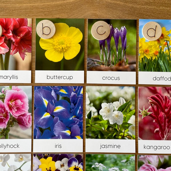 Flowers A-Z Alphabet Flashcards, Montessori Materials Printable, Spring Flowers Forest Schooling, Three Part Cards, Nature Study, Homeschool