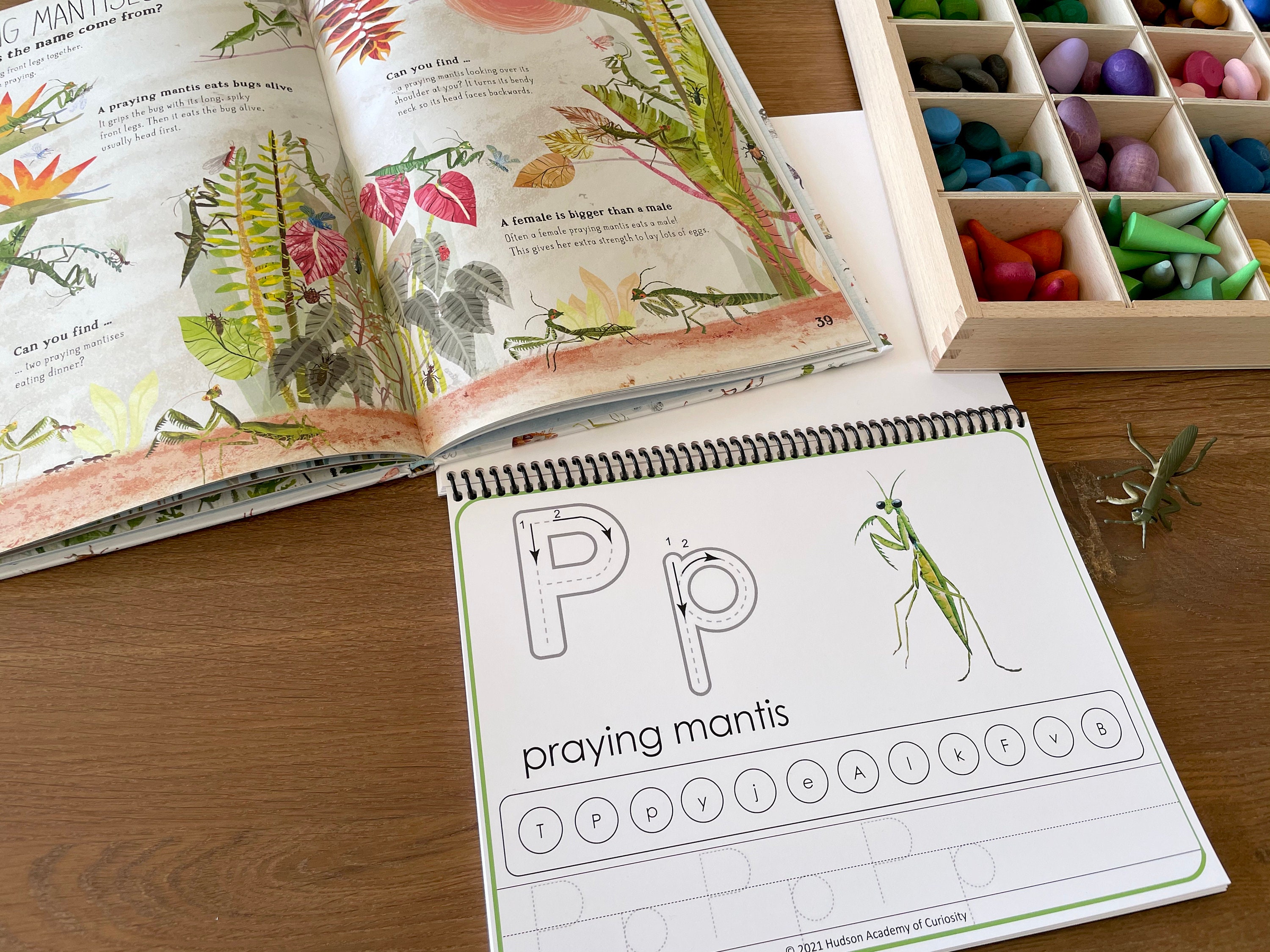 Minibeasts Play Dough Mats Playdoh Alphabet Mat Printable Etsy Canada