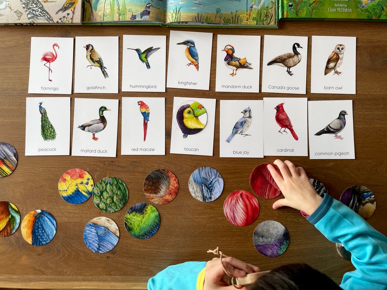 56 Bird Montessori Flashcards with Feature Pattern Matching, Preschool Educational Bird Identification Cards, Montessori Materials Printable image 1