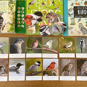 Woodland Birds Flashcards, Birds Matching Flashcards, Montessori Materials Printable, Three Part Cards, Homeschool Nature Study Printable